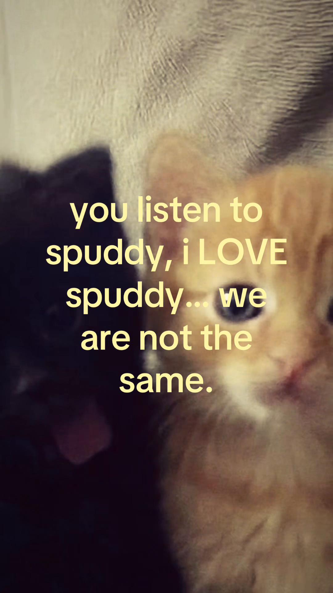 @#1 spudster