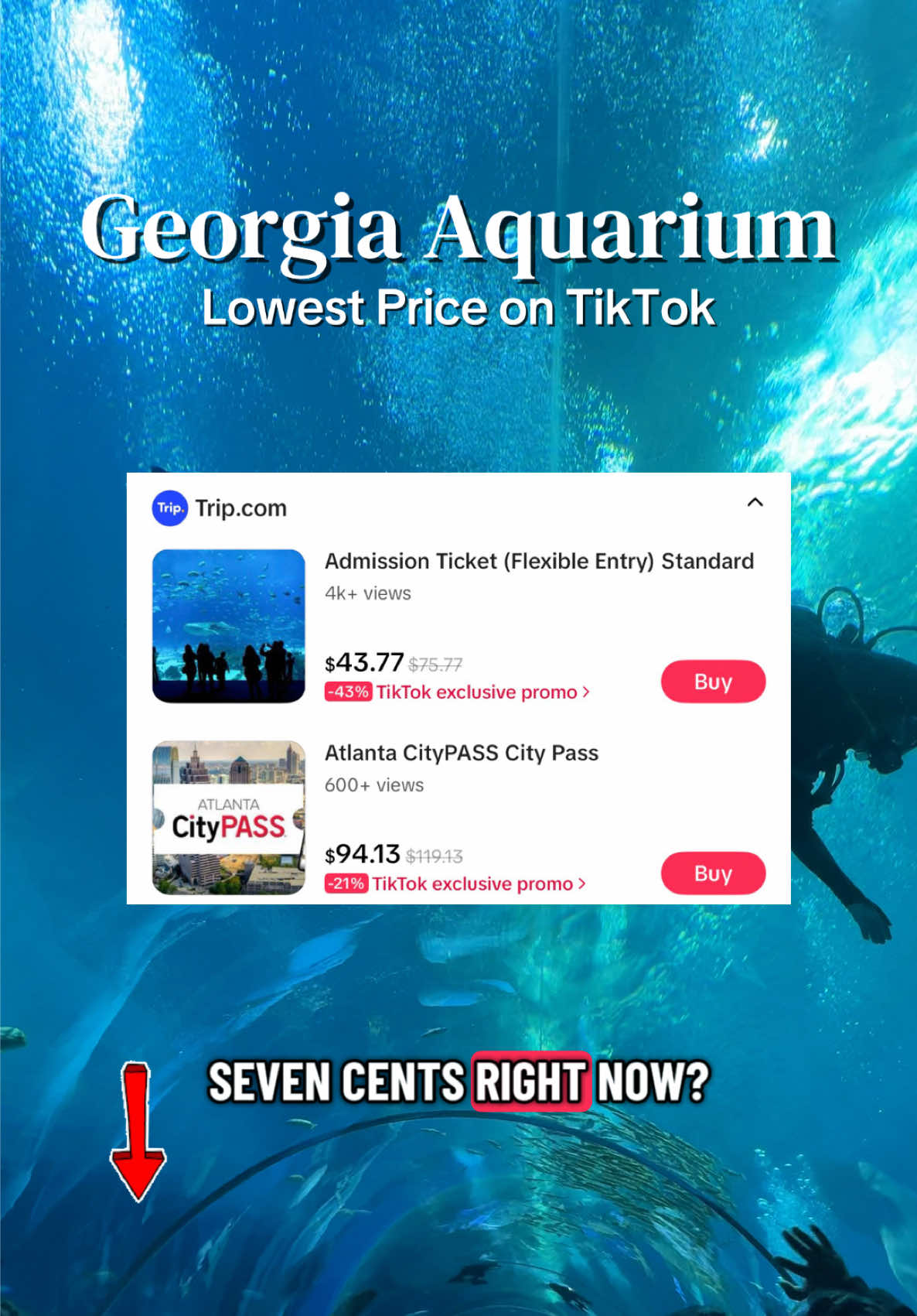 @Mary | Travel Mama | Deals