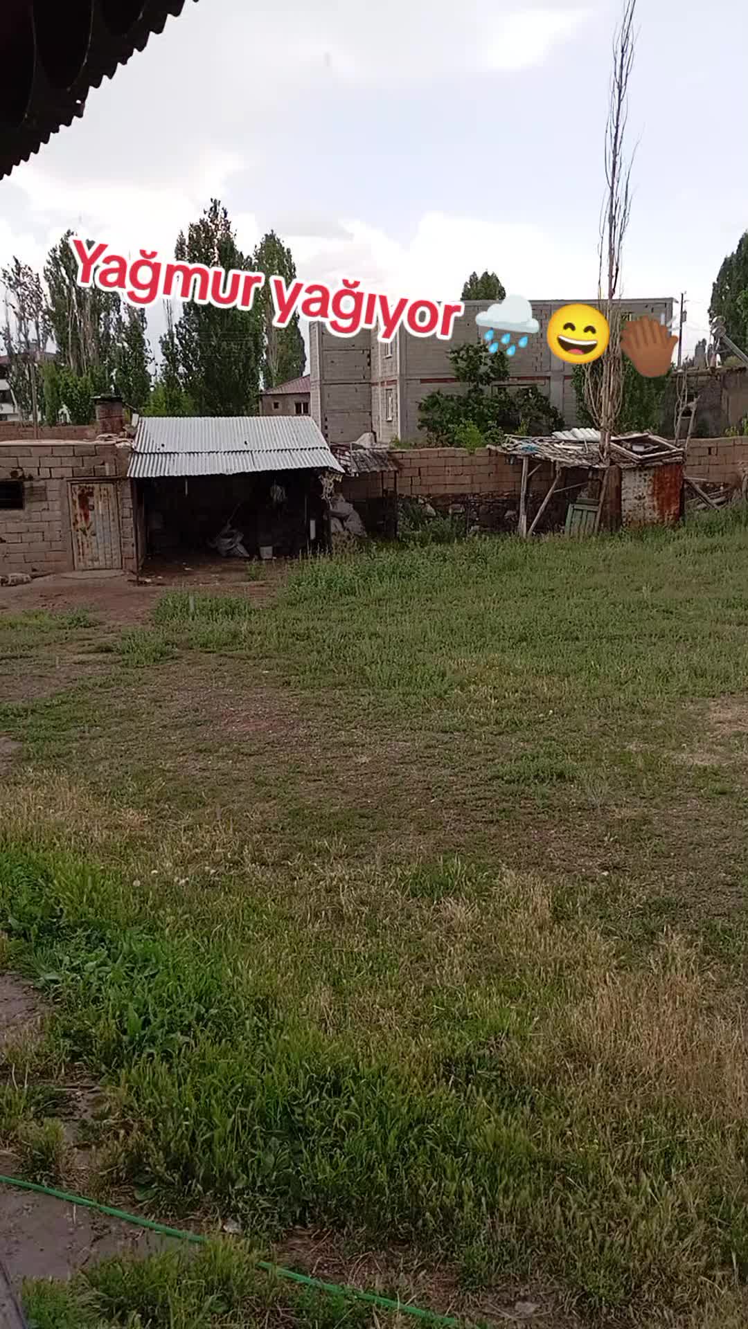 @bazidli adem04