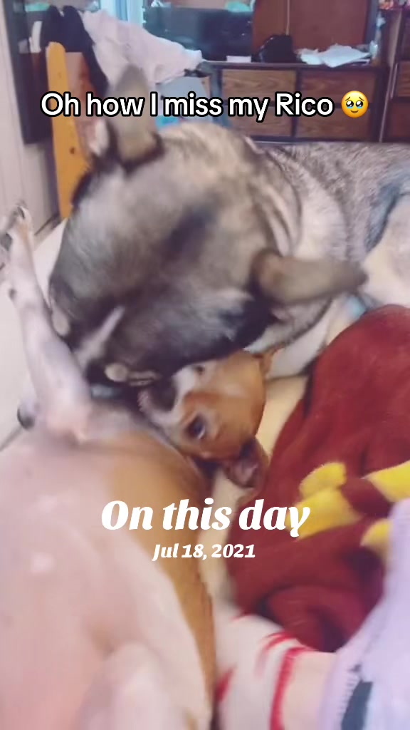 @JessicaStaysHome