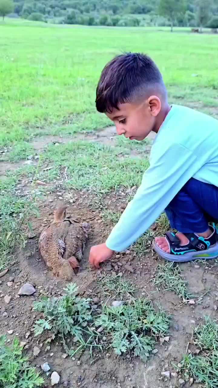 @Birds Lover