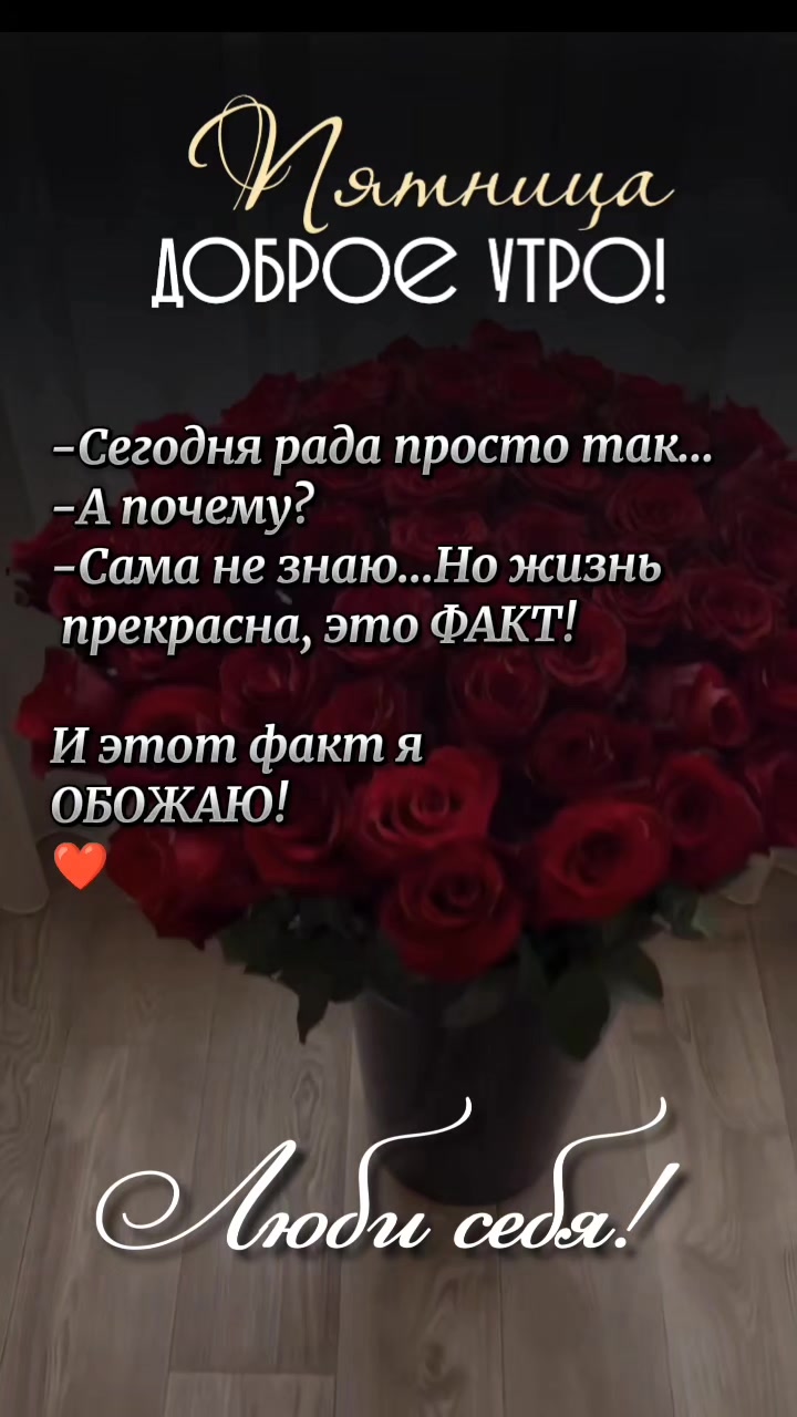 @☆꧁✬◦.𝒱.𝒮𝒽 .✬꧂☆