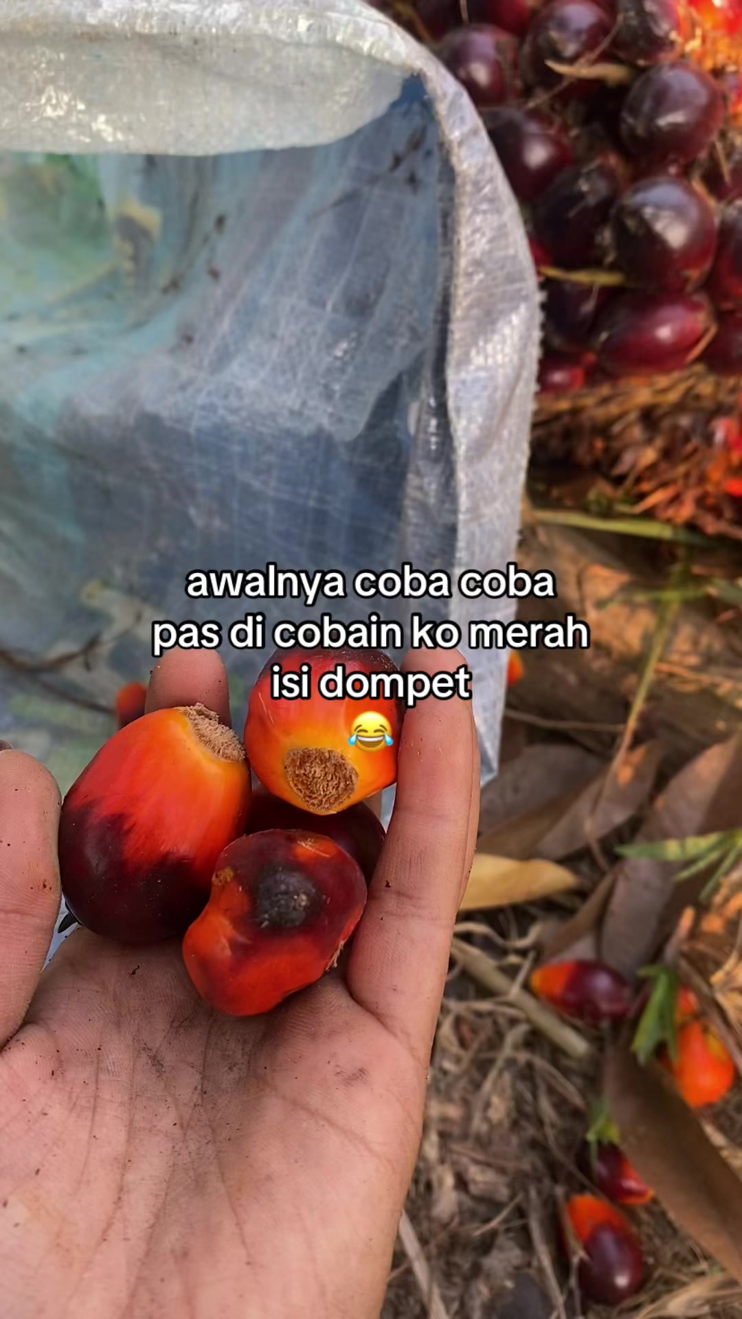 @SEMPAK KUNTILANAK 🩲