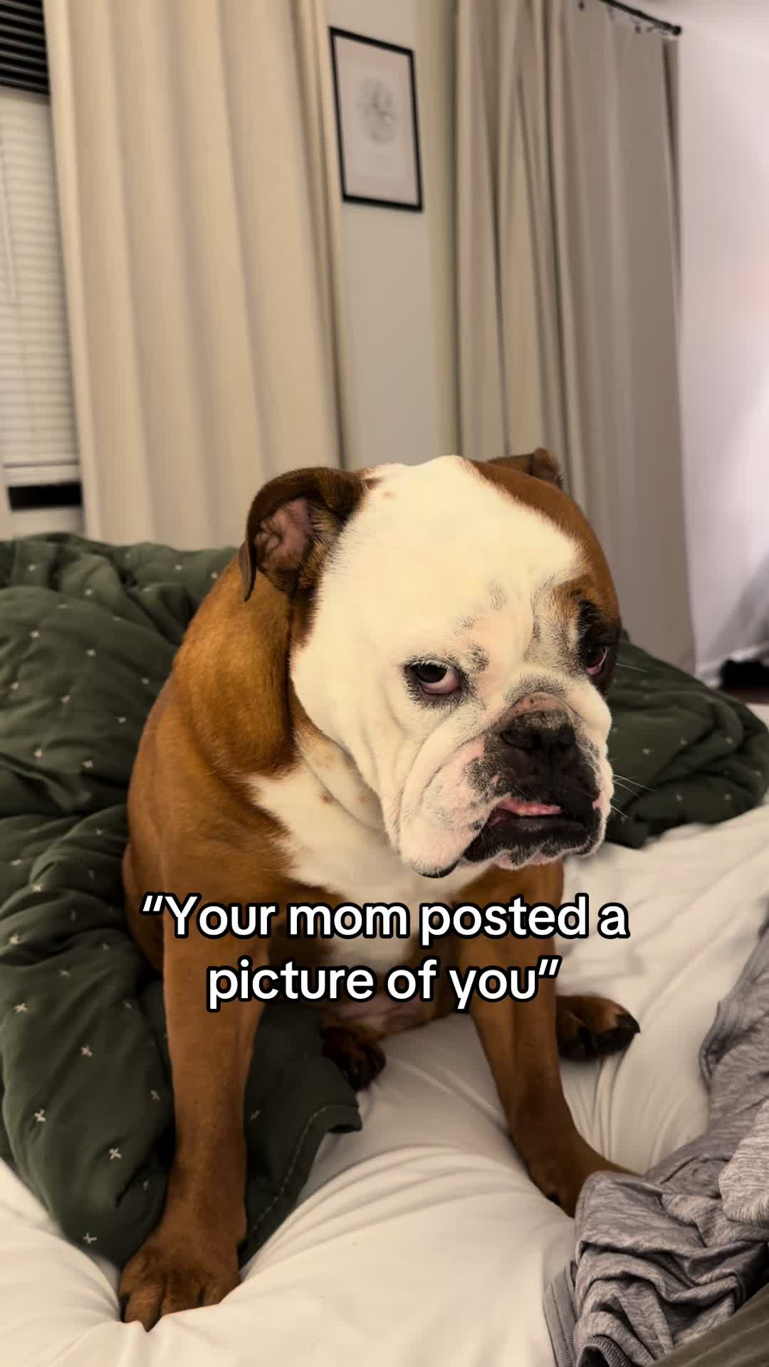 @Poptart & Patches