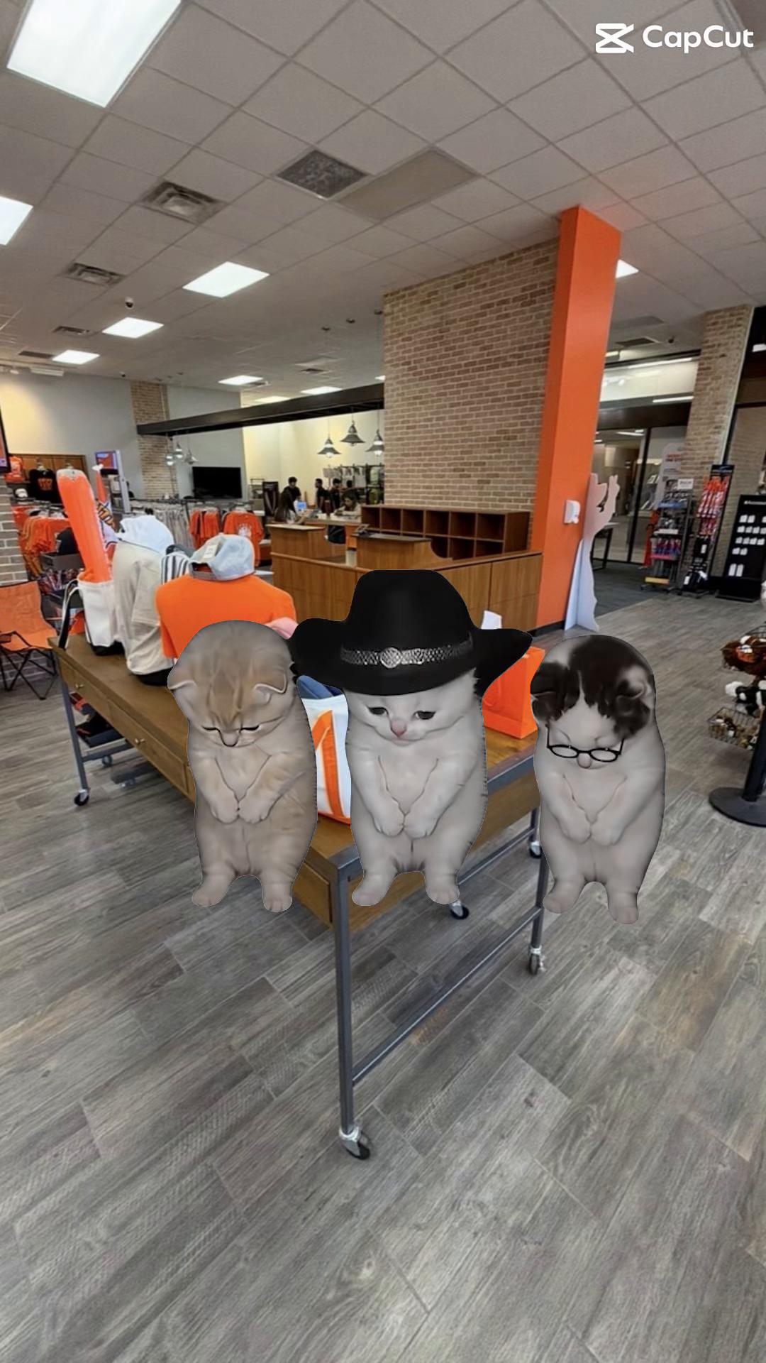 @utrgvpisser