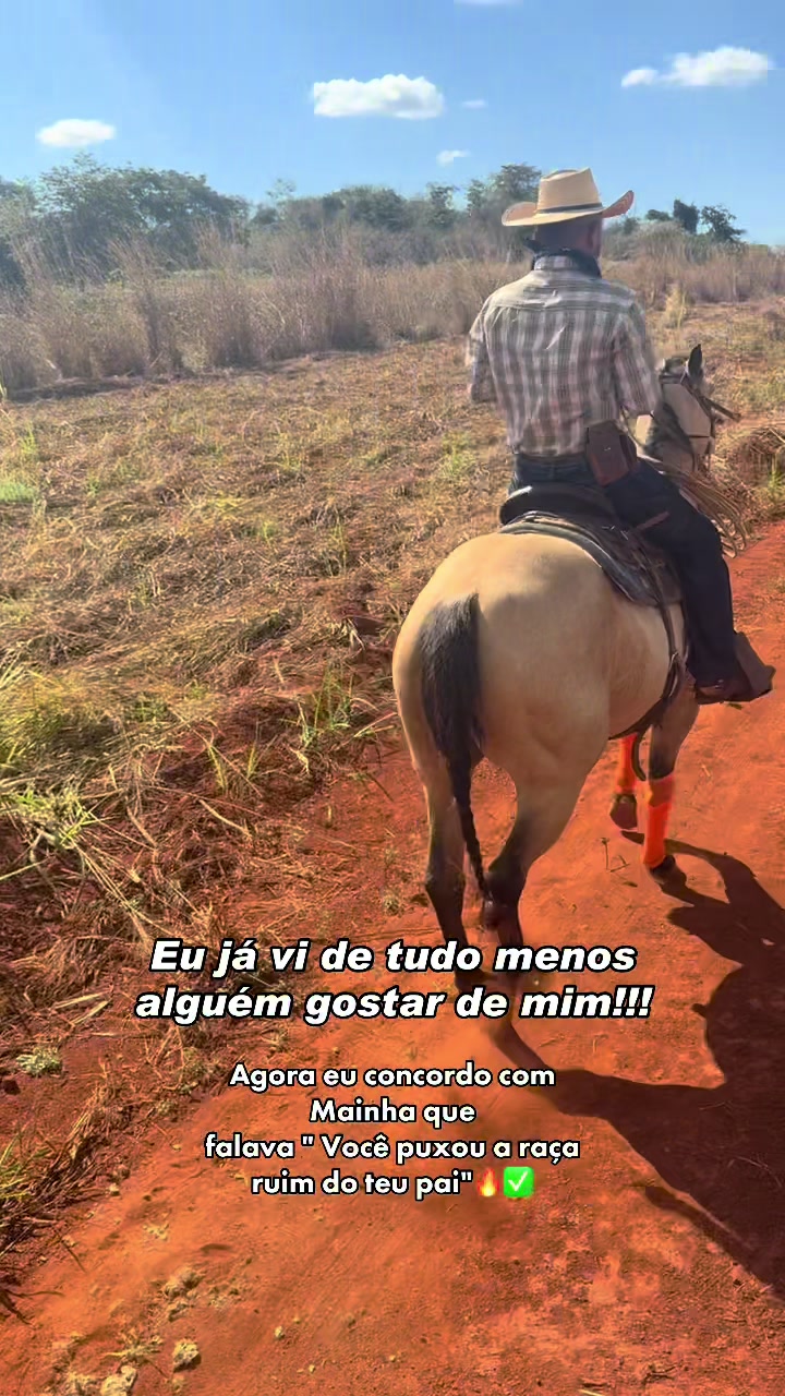 @mateusandrade9837