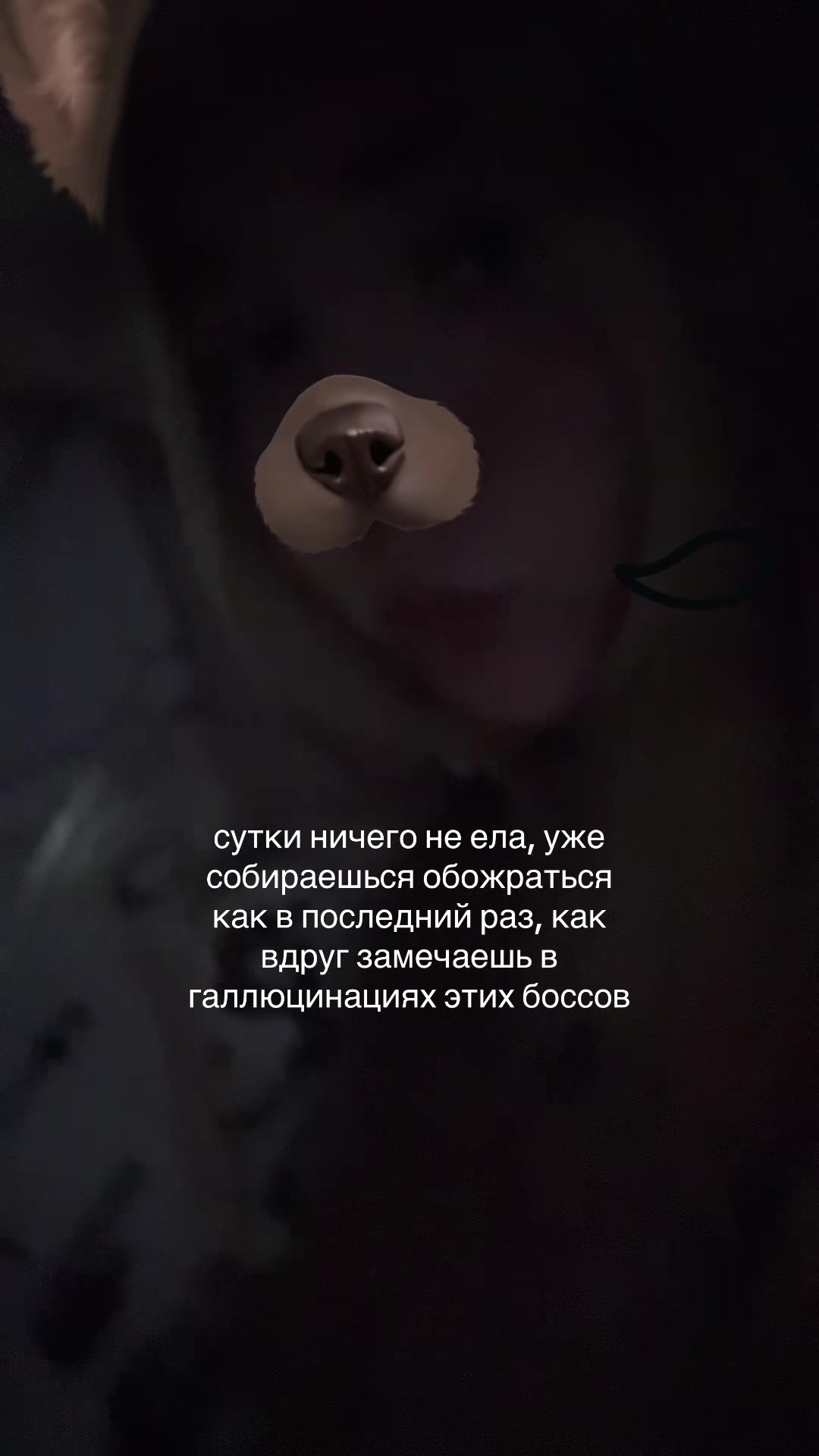 @тгк: евочка мяумяом