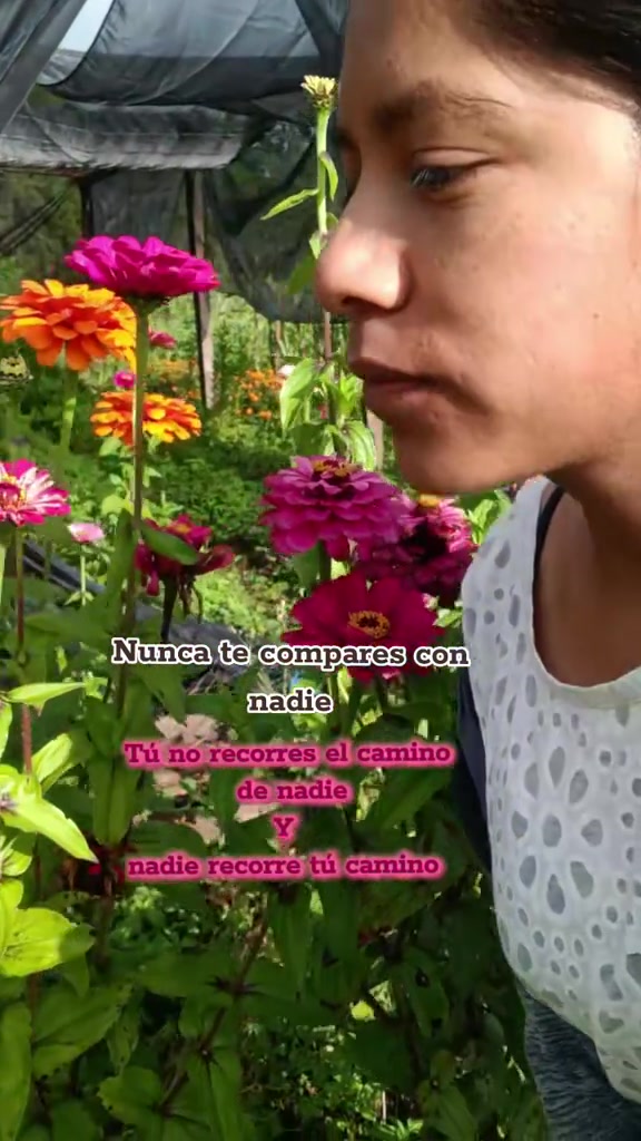 @liz._ Mendozza