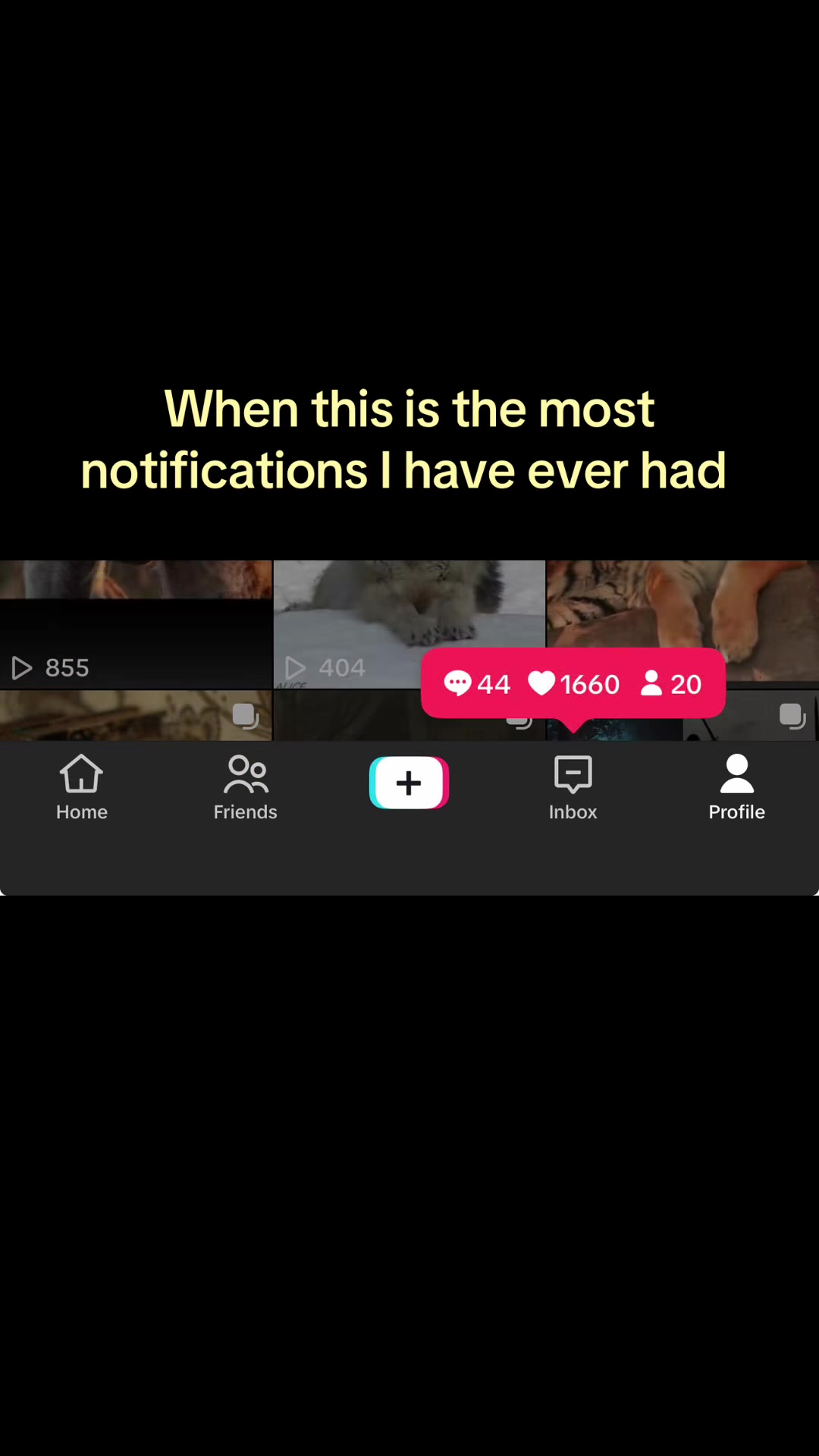 @Bryana R. Fredehagen