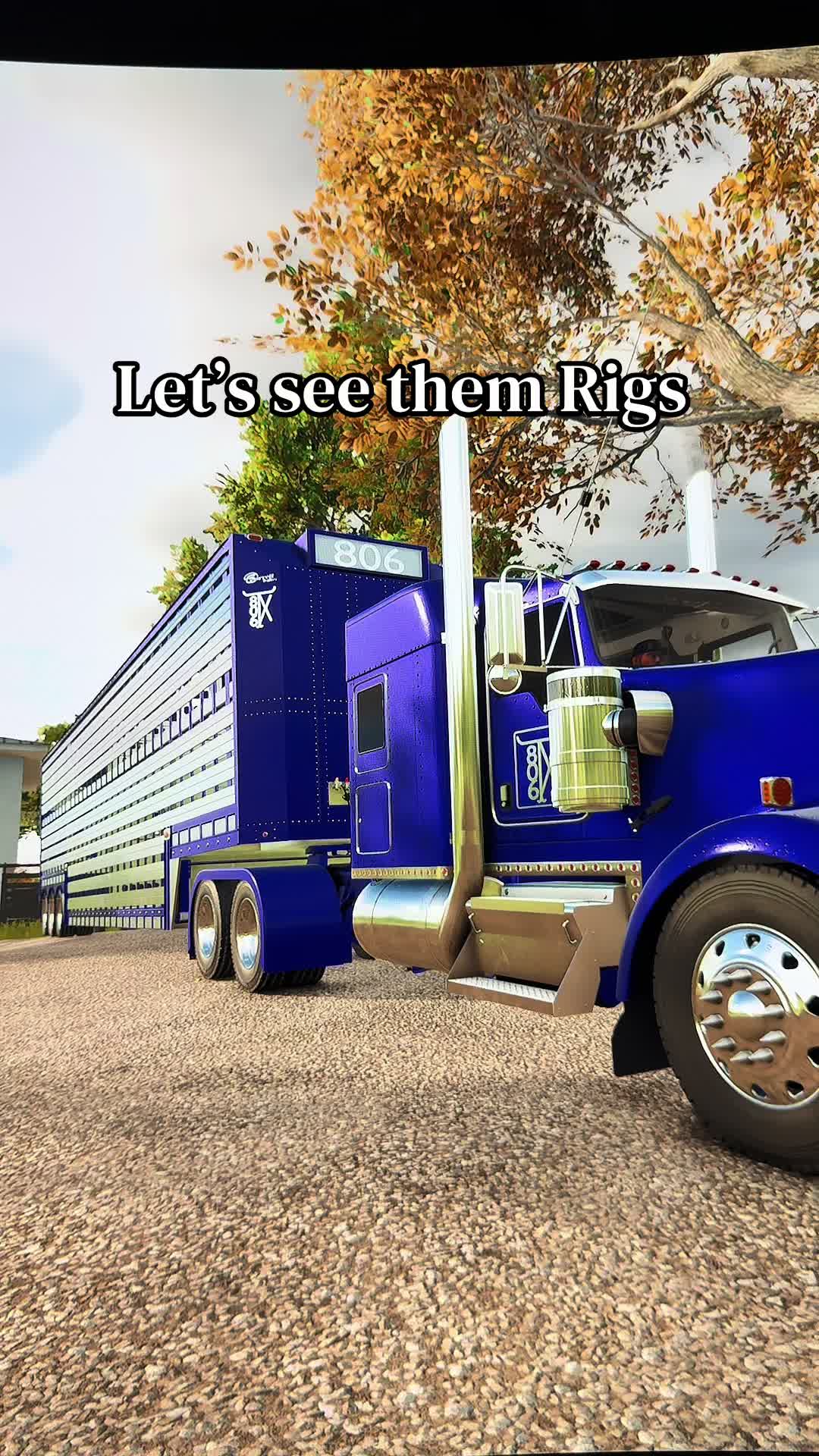 @806Texas