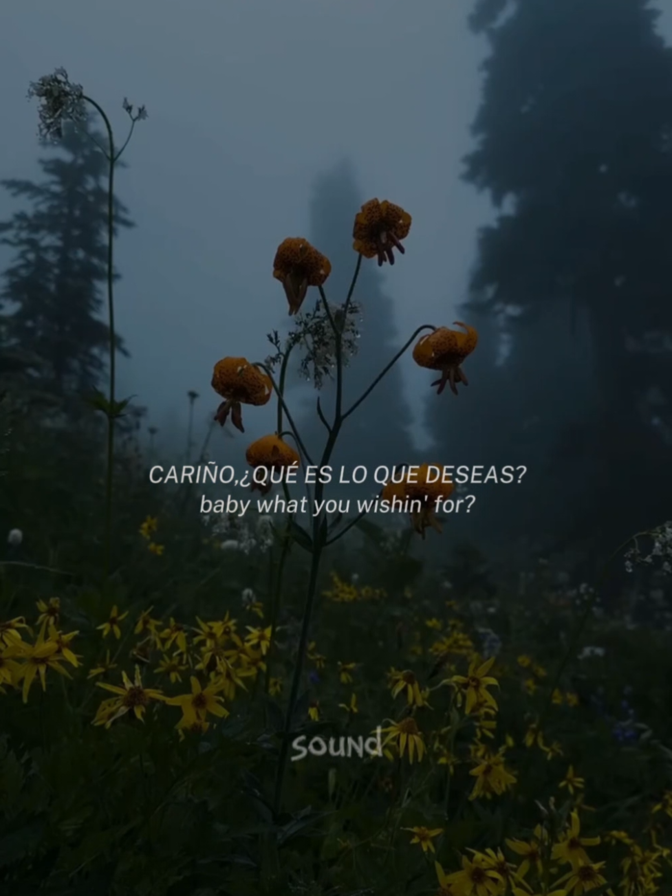 @sound