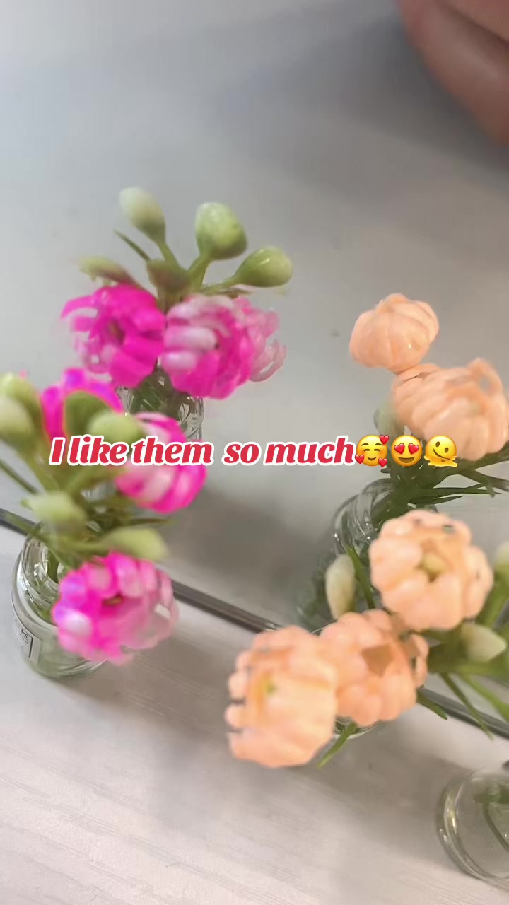 @Rosireina1