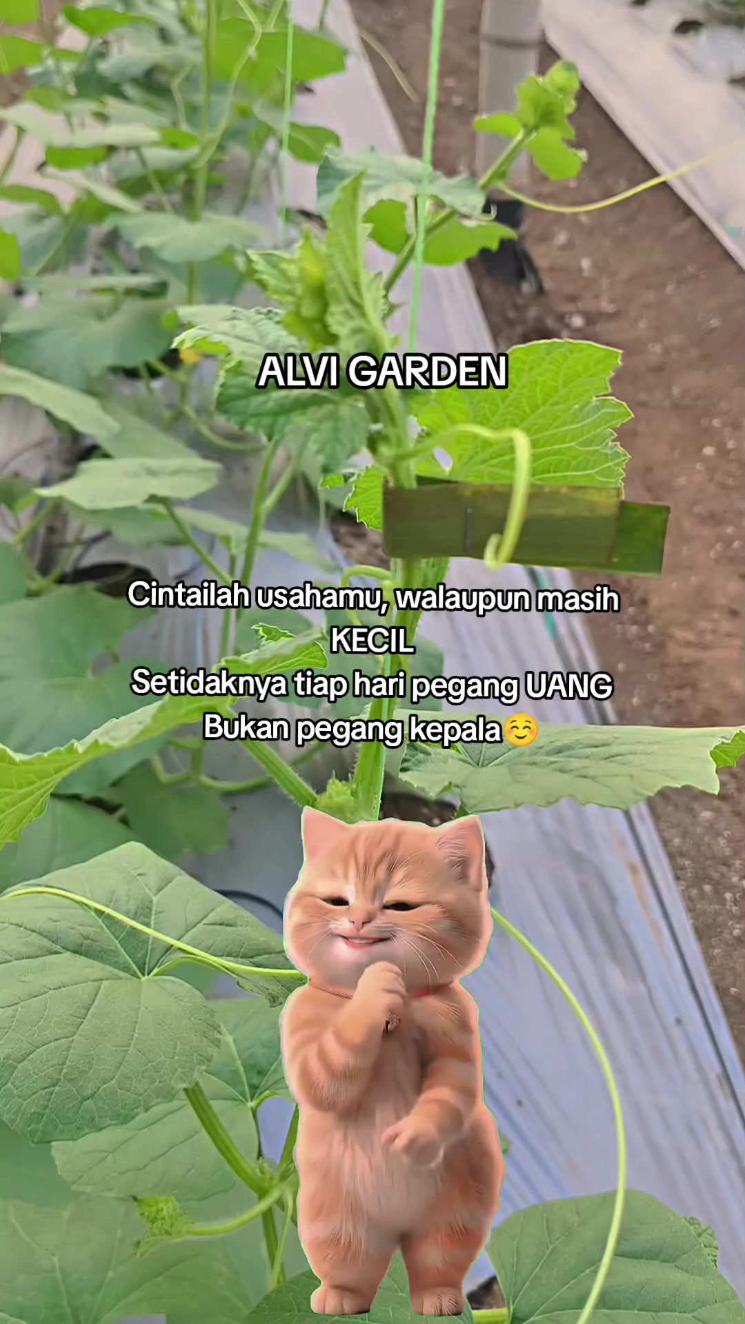 @Alvi Garden