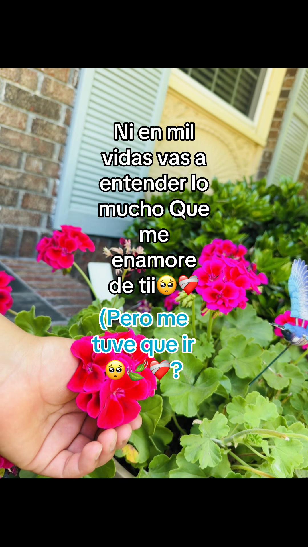 @🍃🫥🍁❤️🩹