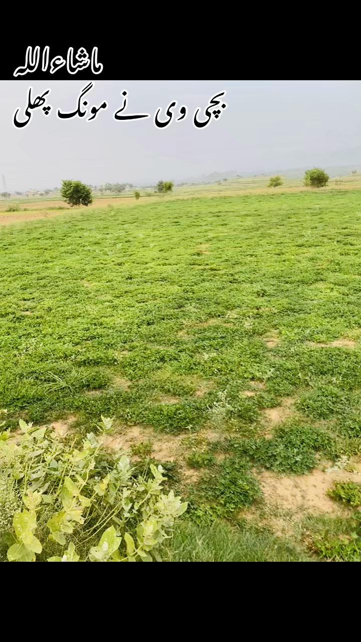 @اعوان زرعی فارم 🌾