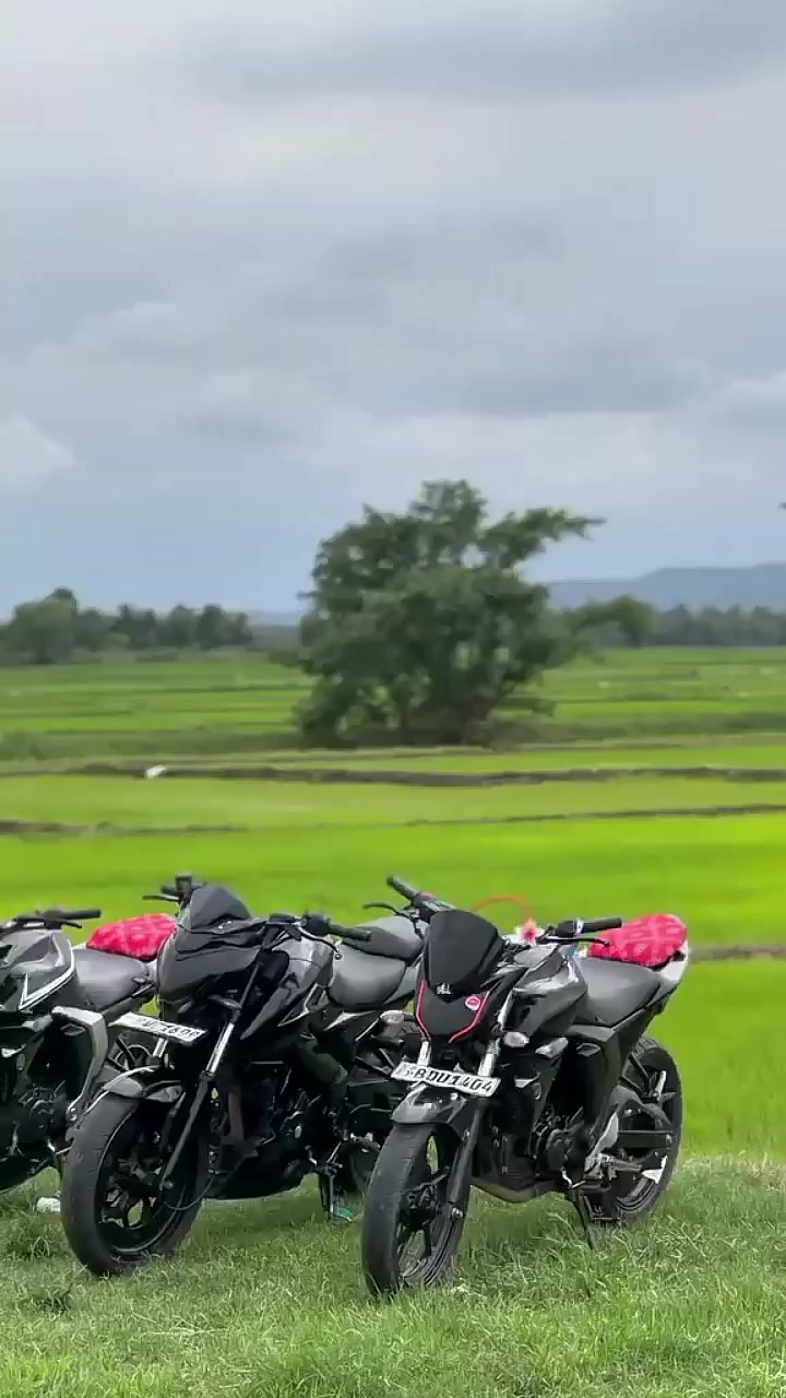 @๐ฏH O N E Y ๐ฏBOY ๐๐