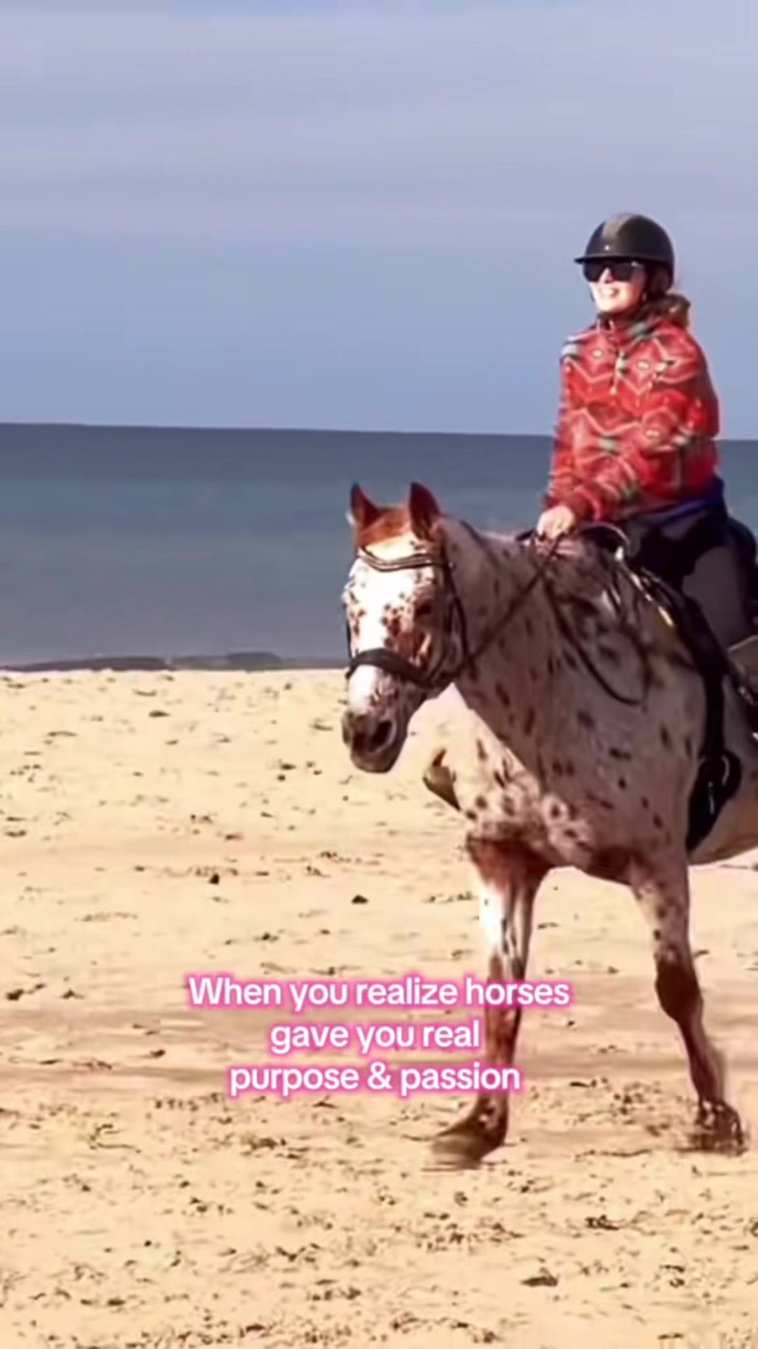@Free Spirit Equestrian