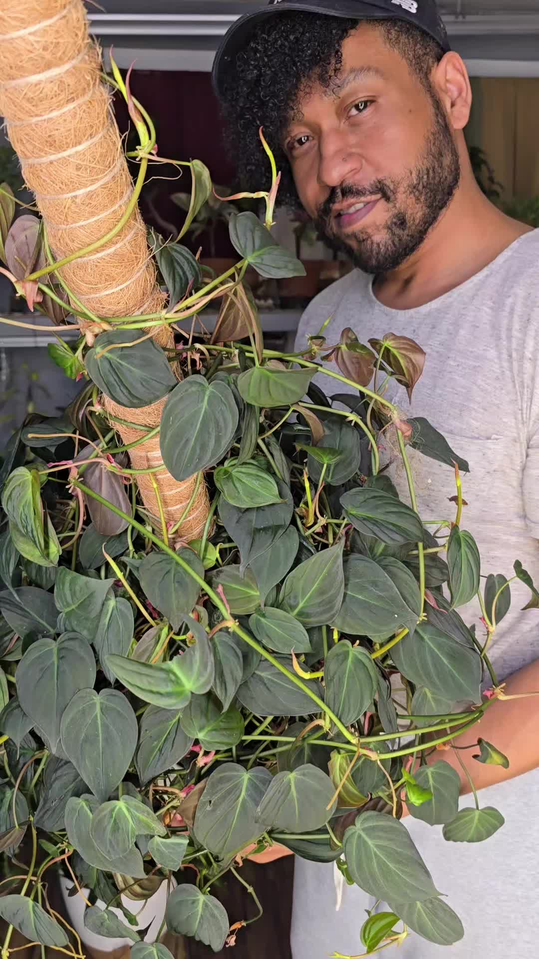 @JT - BigEGOPlants