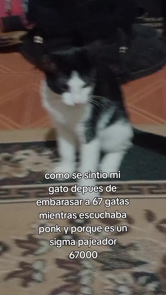 @el pajaron🗣️🔥🔥🔥