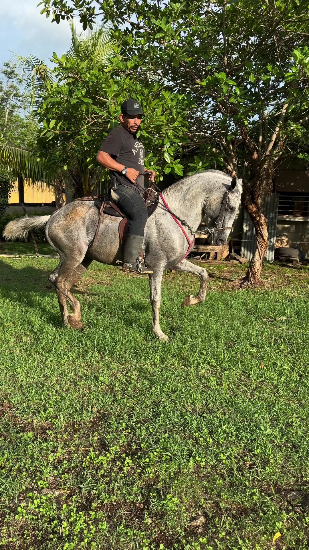@Onell G. Henríquez