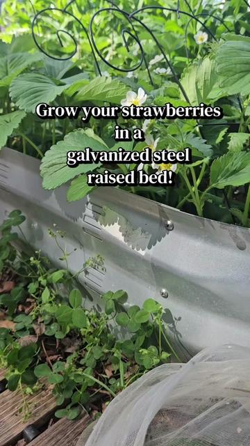 @GreenthumbHeaven1100