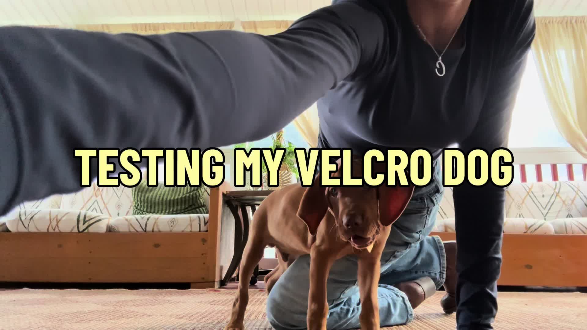@YOGIMI
