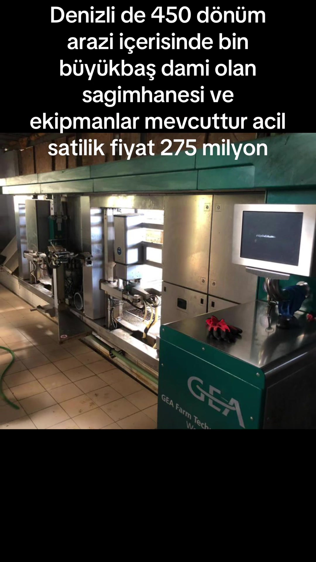 @Esra.polat.