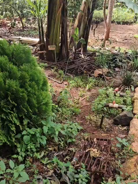 @FarmersTrend