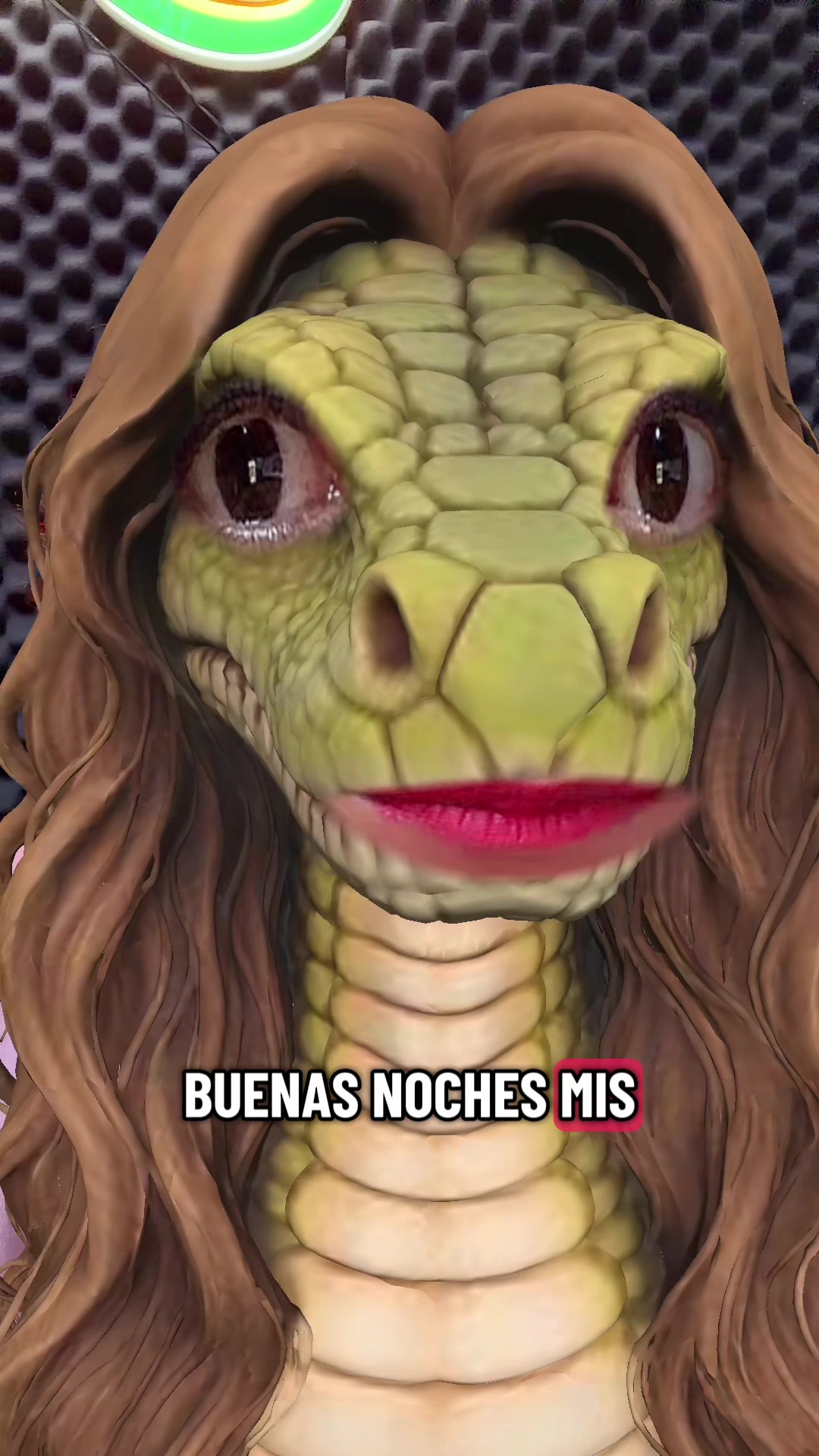 @Karla Caballero Locutora