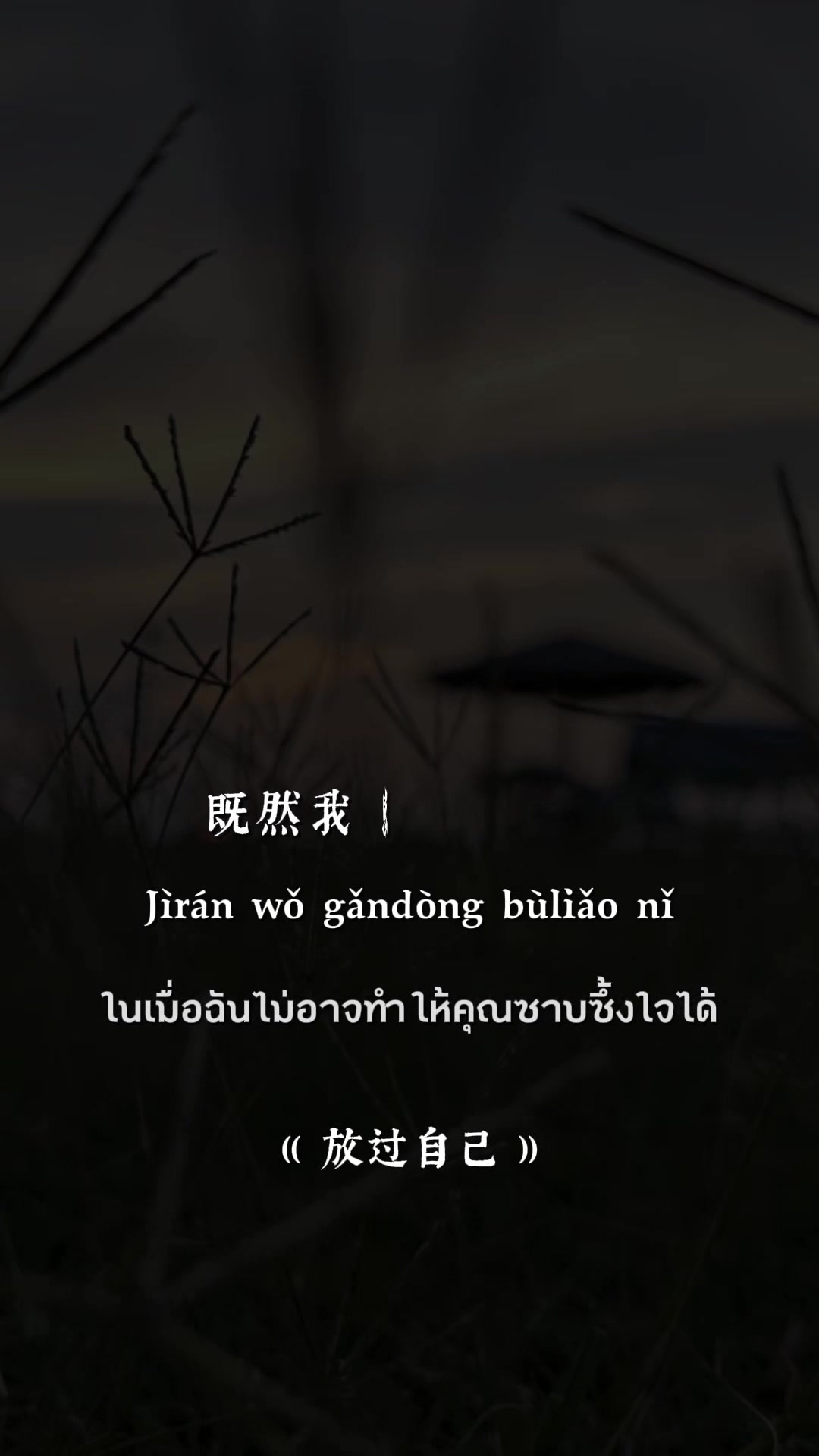 @福-💸