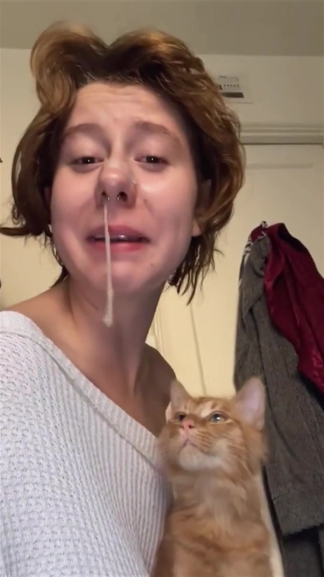 @Funny cat 520