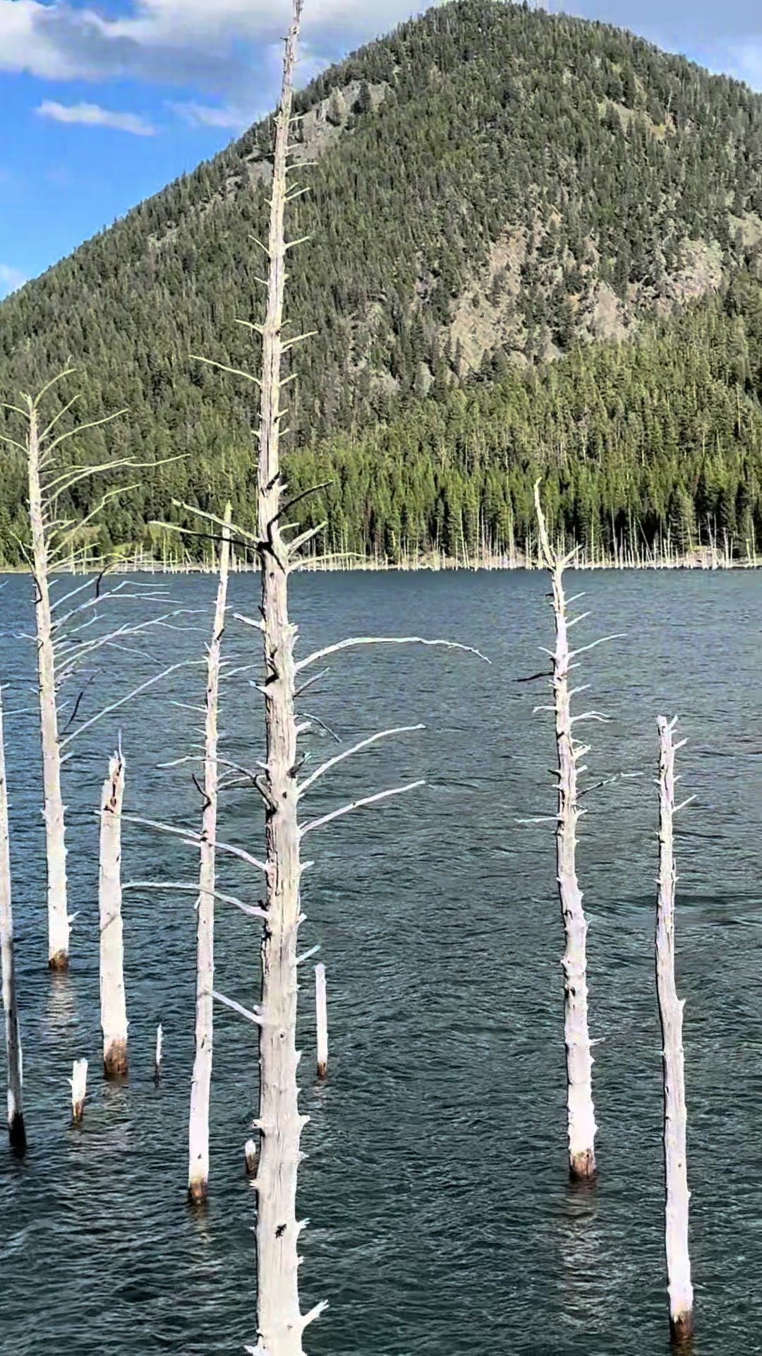 @My3SonsFishing