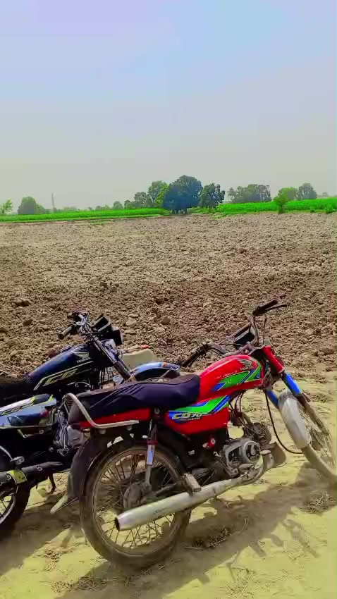 @Mashtaq Ali, JUTT333
