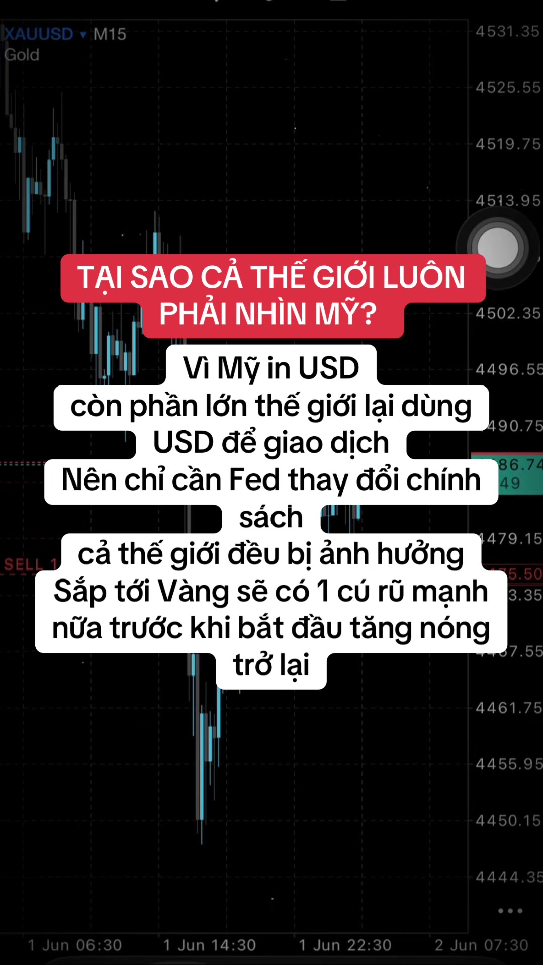 @Lão Hạc Gold.