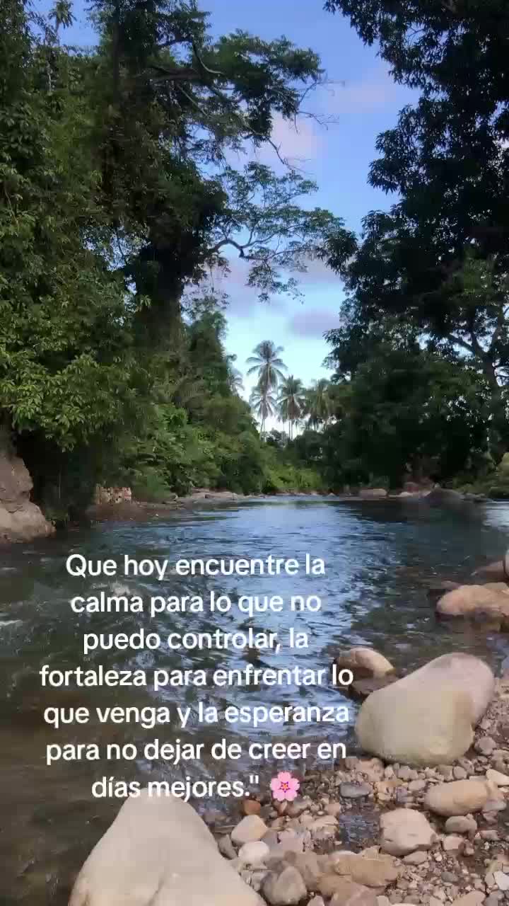 @Yany