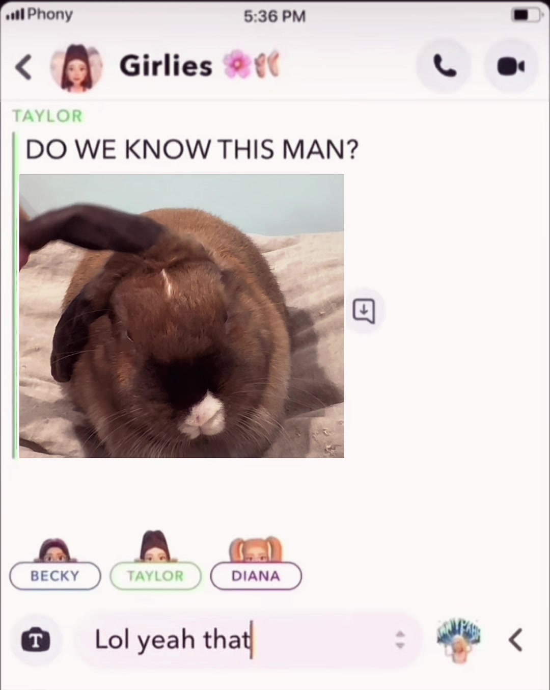 @honeythebunny24