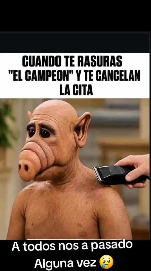 @EL GRINGO Y EL LATINO 🇪🇨🇺🇸