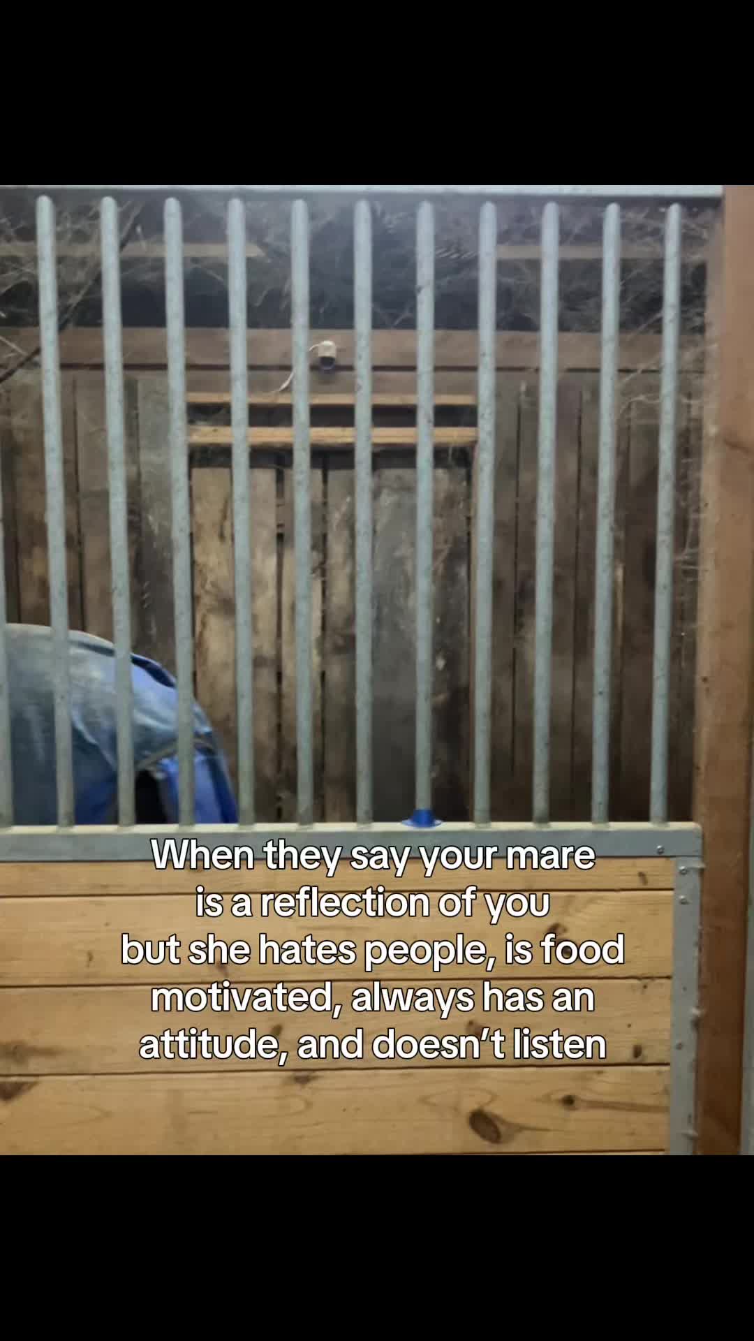 @that-horsechick