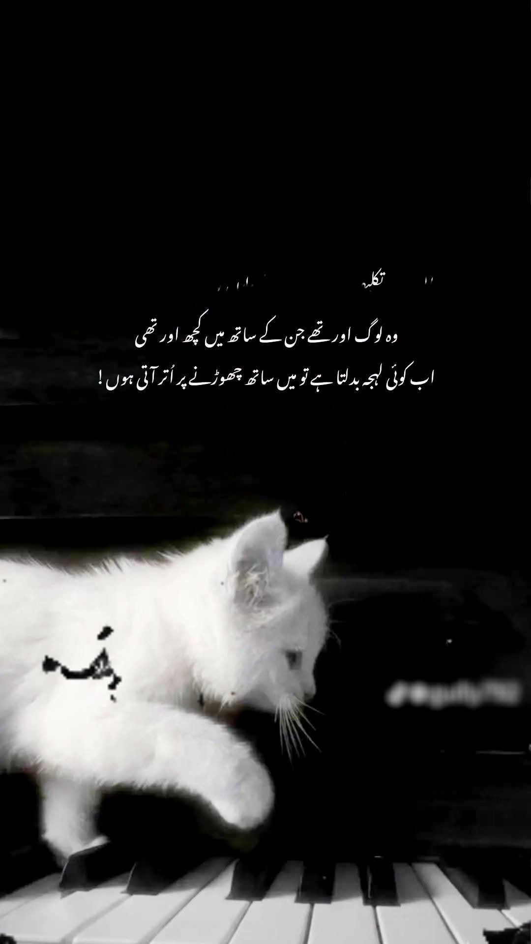 @≛⃝ MENA𝄟≛⃝