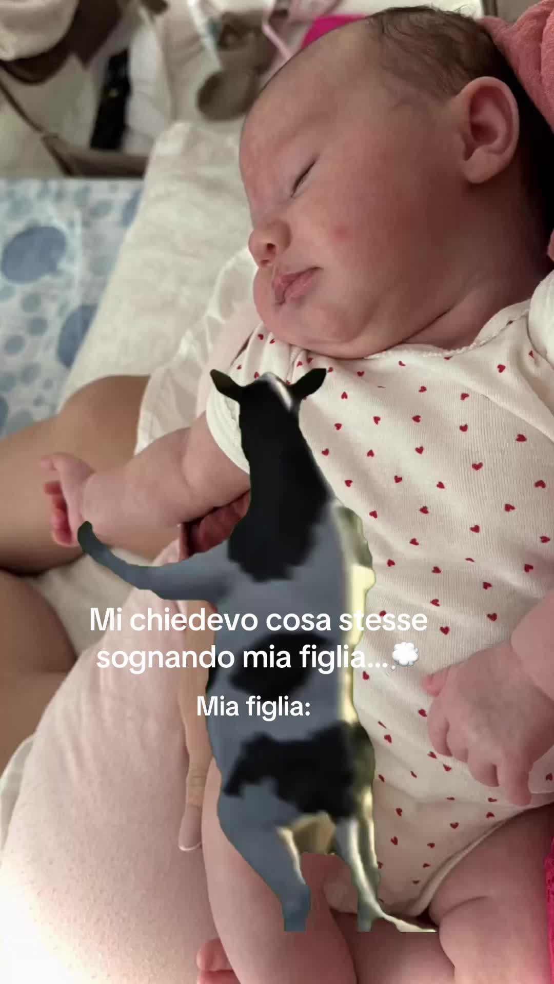 @Noemi Cerchio