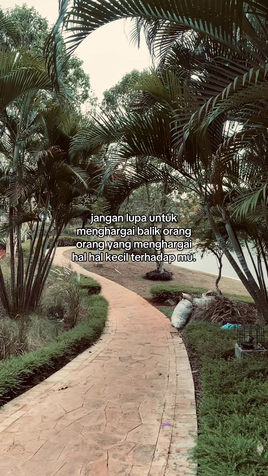 @ryy.