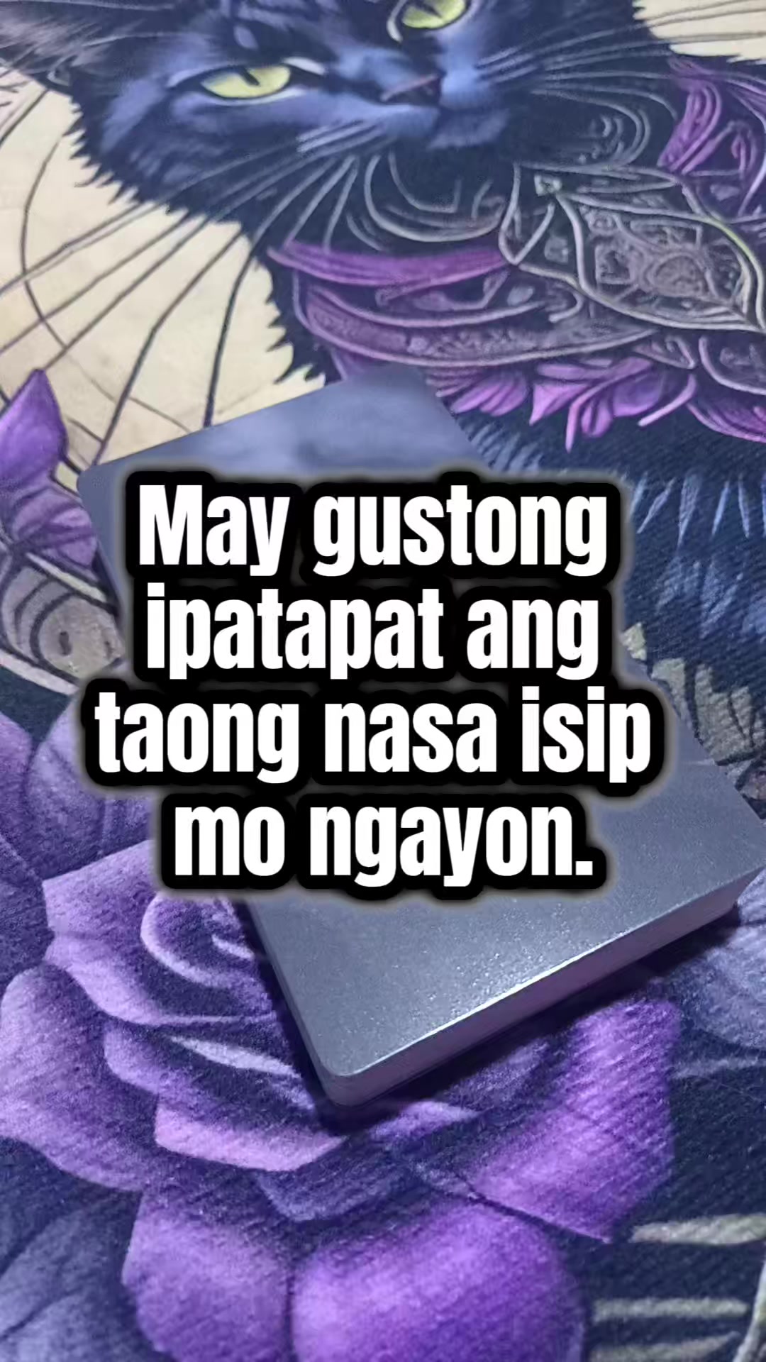 @Marie Tarot Reader