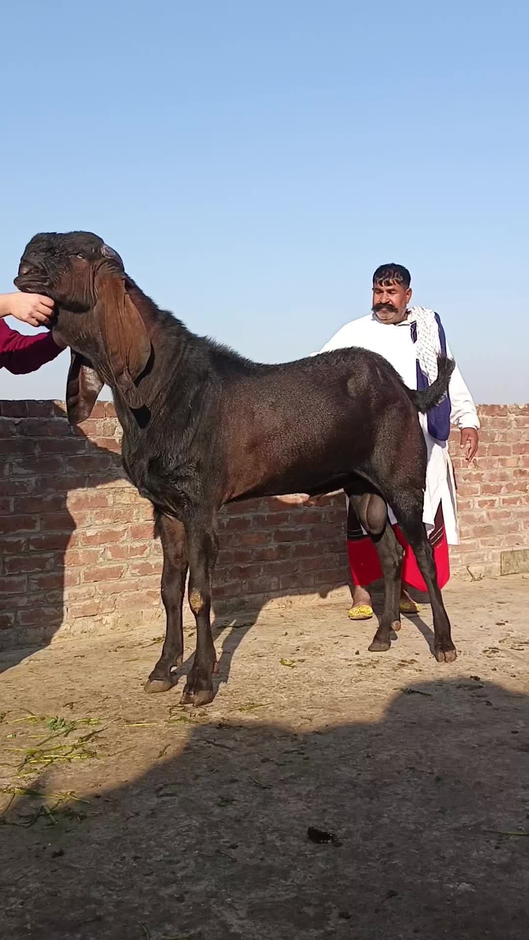 @Sufyan Gujjar