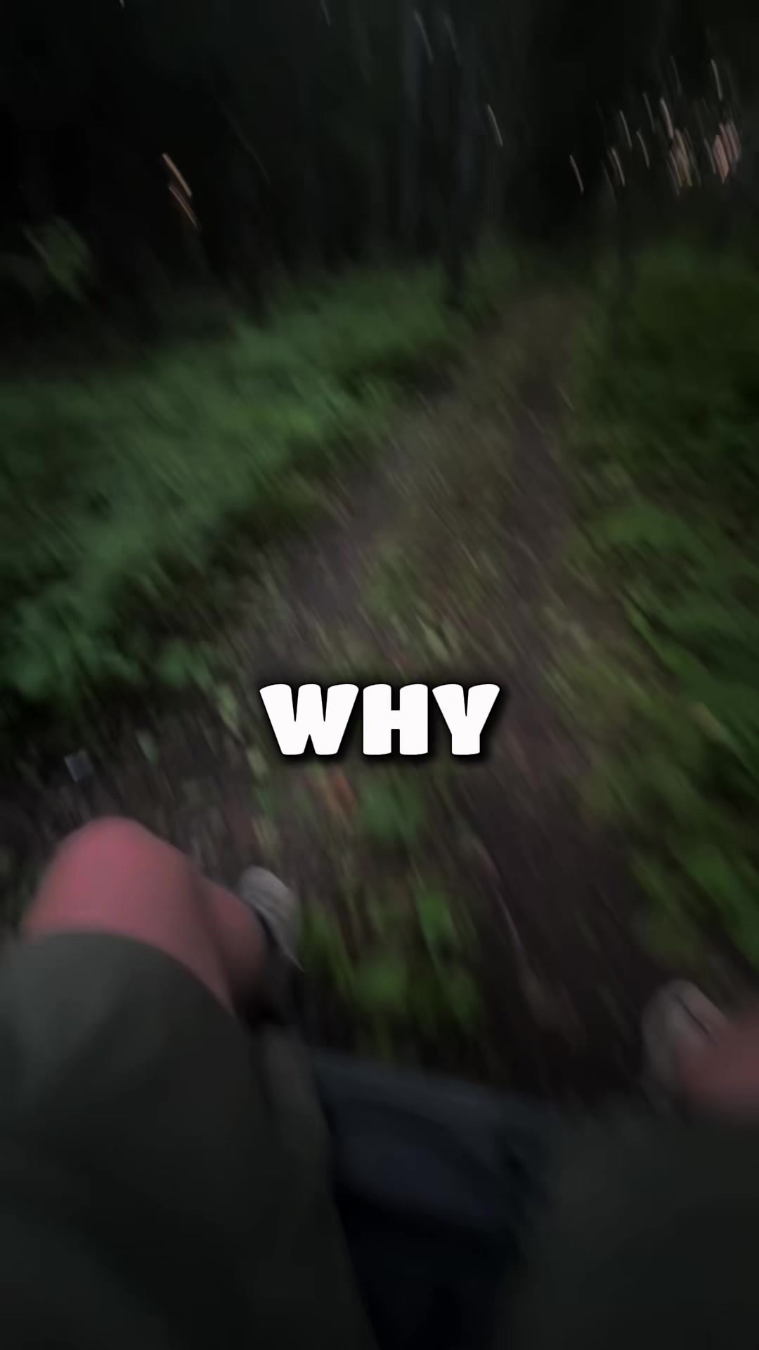 @Tyler the goat