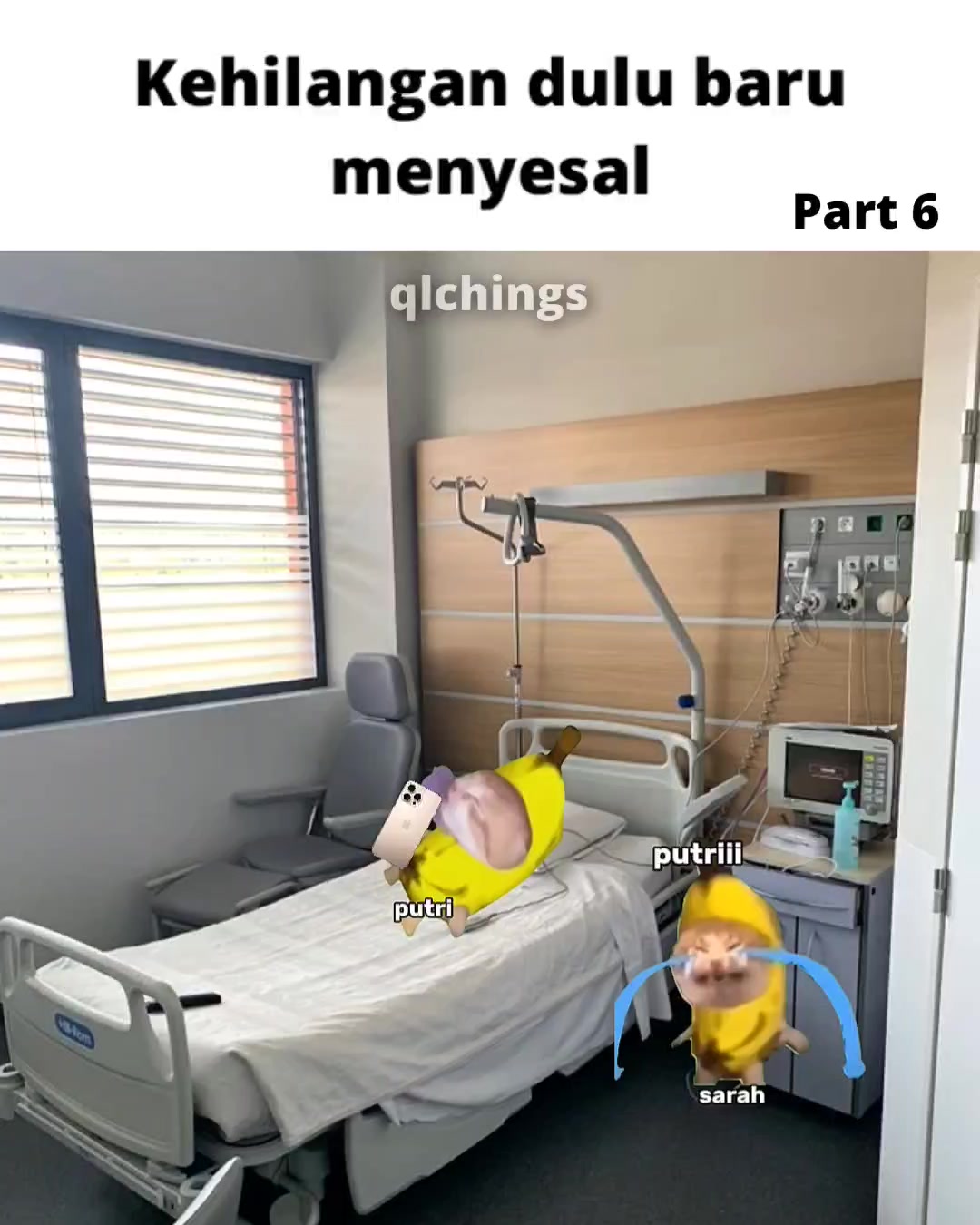 @qlchings