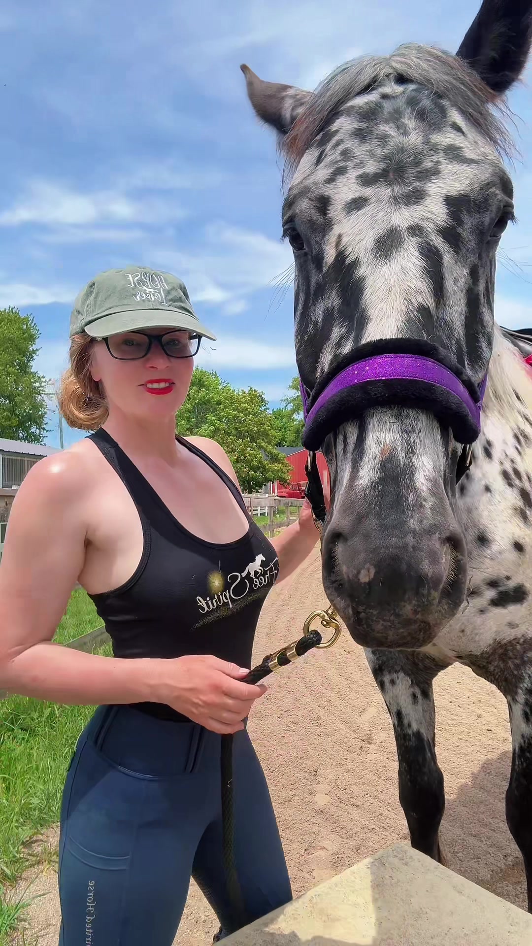 @Free Spirit Equestrian