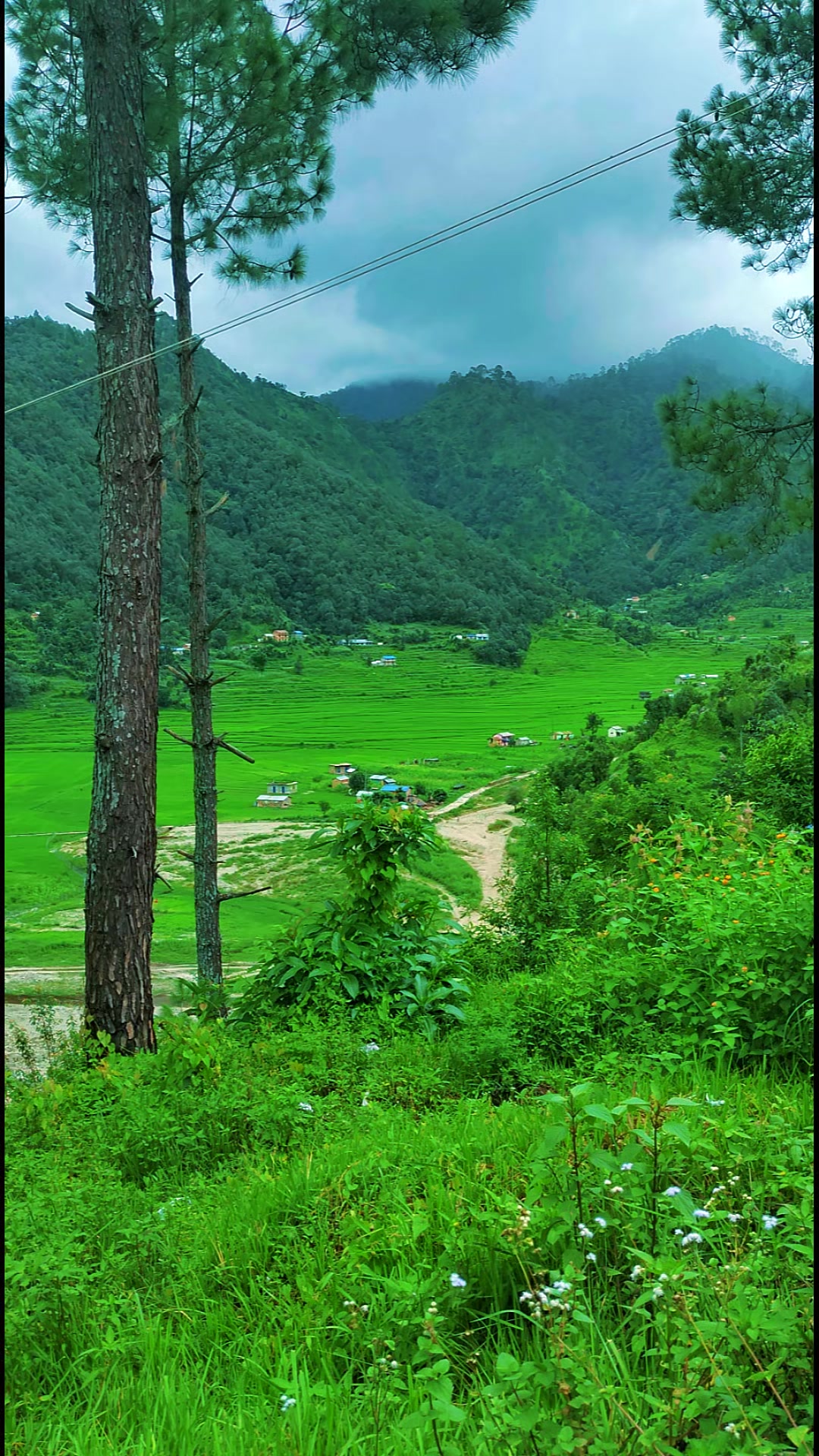 @Padama Kadal Madai