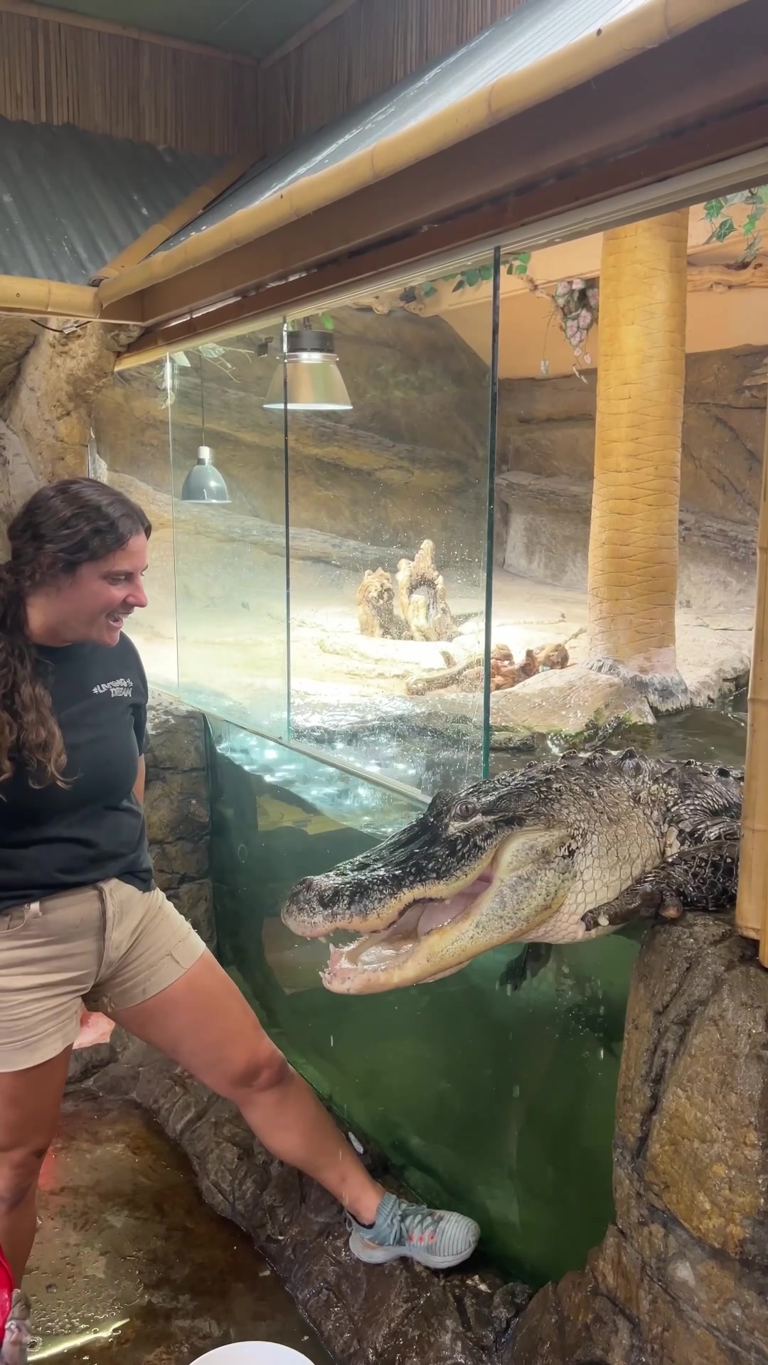 @The Reptile Zoo