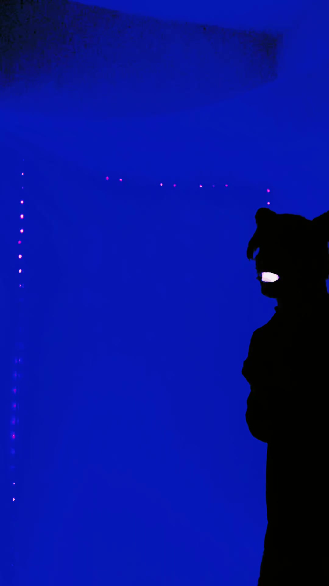 @🕸️𝖘𝖈̌𝖍𝖆̈𝖉𝖞😴