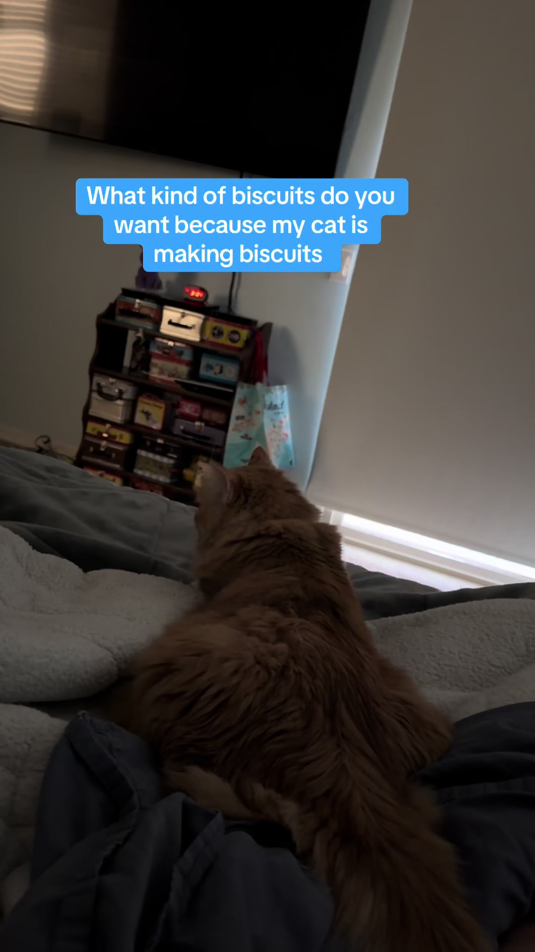 @desertgirly14